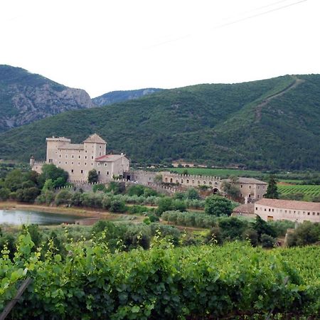 Апартаменты Castell De Riudabella Vimbodi I Poblet Экстерьер фото