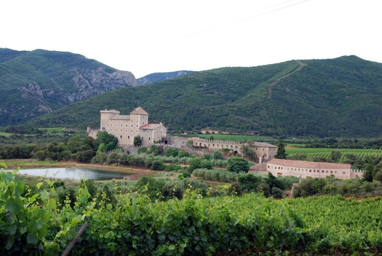 Апартаменты Castell De Riudabella Vimbodi I Poblet Экстерьер фото