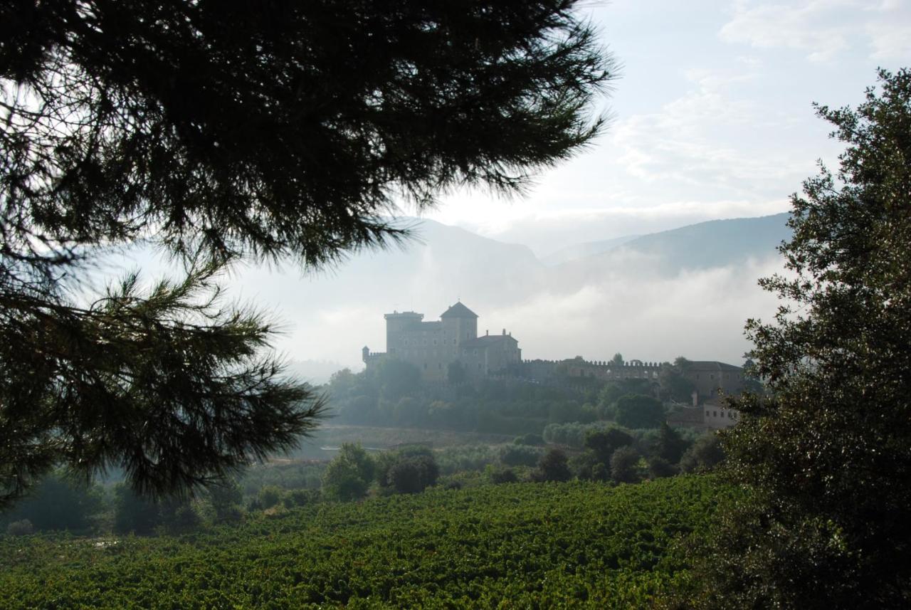Апартаменты Castell De Riudabella Vimbodi I Poblet Экстерьер фото