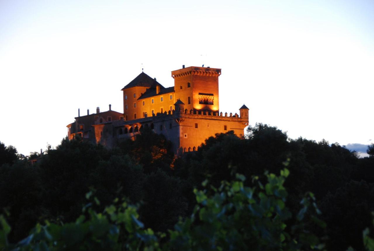 Апартаменты Castell De Riudabella Vimbodi I Poblet Экстерьер фото